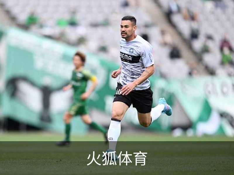 火狐体育简介